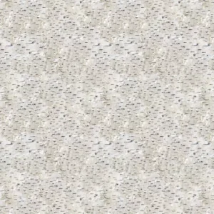 Gray Wolf Birch Texture 24352-94 By Northcott Fabrics