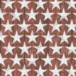 Desert Cowboy Wood Stars Brown 52456D-7 By Windham Fabrics