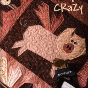 Completely Crazy *Softcover Project Book* By: Janet Nesbitt of One Sister Design