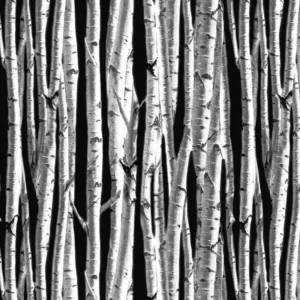 Fletcher Flannel Birch Forest Black 53695F-2 By Windham Fabrics