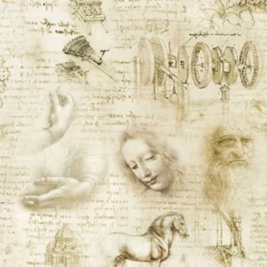 Leonardo Da Vinci Antique Drawings & Words 20097-199 By Robert Kaufman