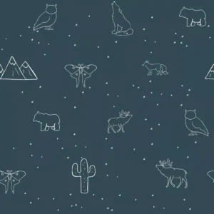 Beneath the Western Sky Animal Constellations Dark Navy C11194-DKNAVY by Riley Blake Designs