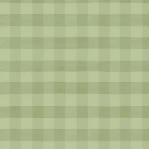 Farm View Soft Plaid Green FVIE 5575 G By P&B Textiles