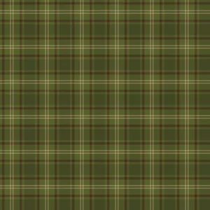 Pine Grove Plaid Green C15935-GREEN By Riley Blake Designs