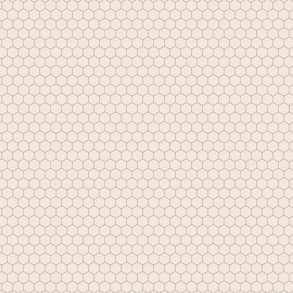 Farmer's Daughter Chicken Wire Background Rustic C17186-RUSTIC By Riley Blake Designs