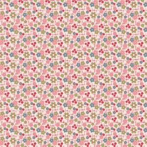 Farmer's Daughter Daisy Coral C17161-CORAL By Riley Blake Designs