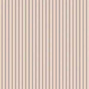 Farmer's Daughter Ticking Pewter C17178-PEWTER By Riley Blake Designs